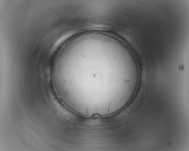 X0000113131402200909251228