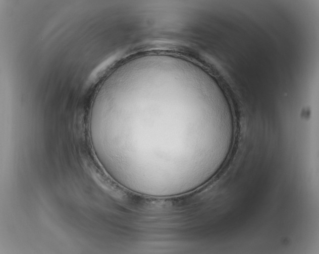 X0000113131403200909251228