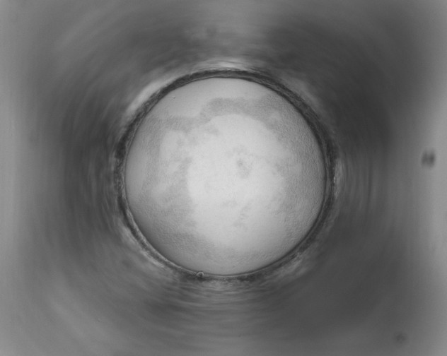 X0000113131404200909251228