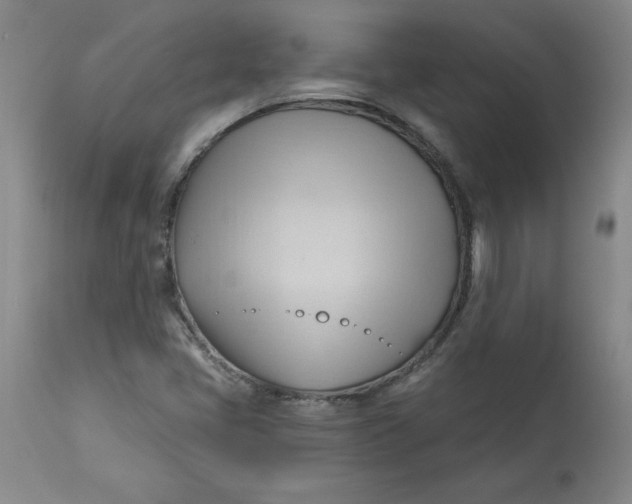 X0000113131405200909251228