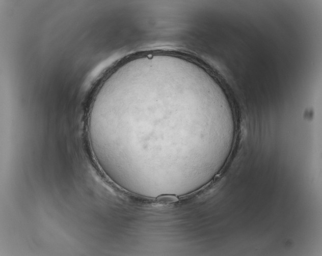 X0000113131406200909251228