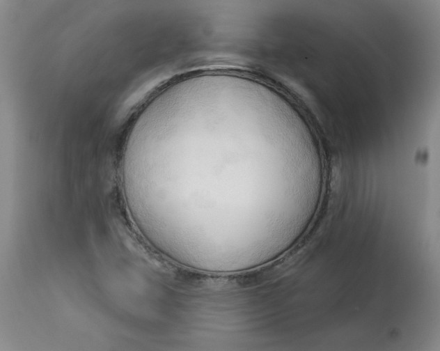 X0000113131407200909251228