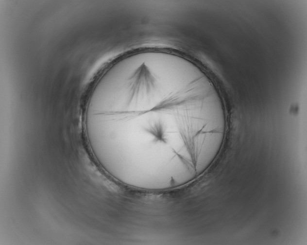 X0000113131408200909251228