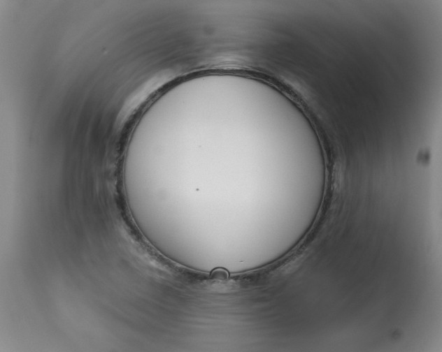 X0000113131410200909251228