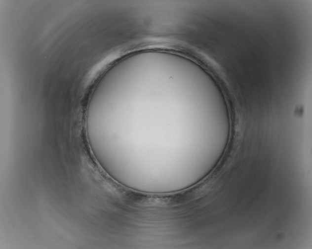 X0000113131411200909251228