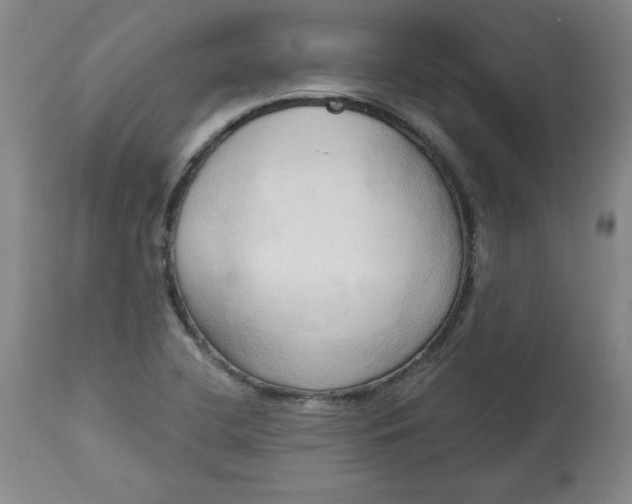 X0000113131412200909251228