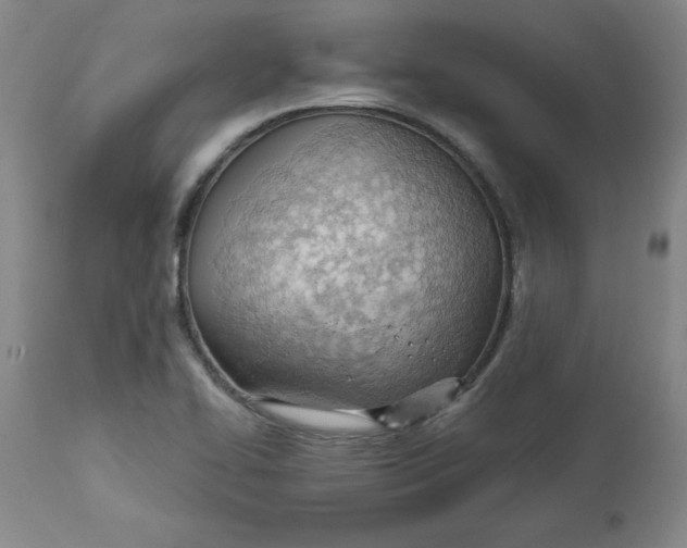 X0000113131414200909251228