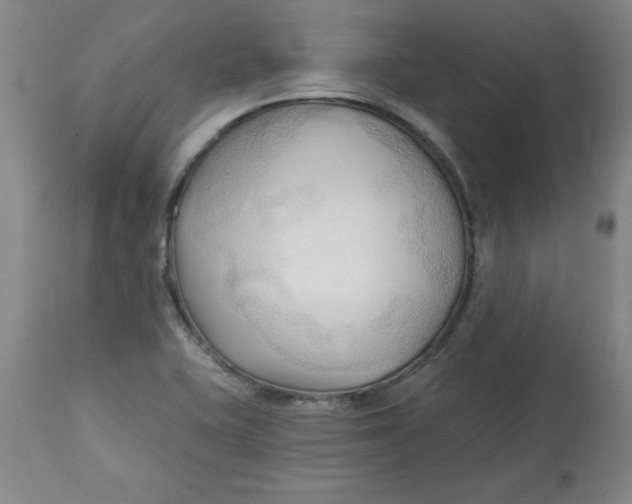 X0000113131415200909251228