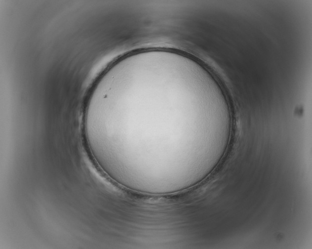 X0000113131416200909251228