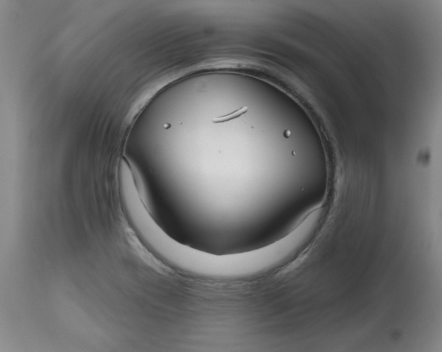 X0000113131417200909251228