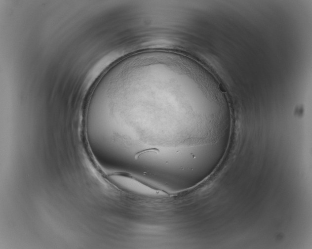 X0000113131418200909251228