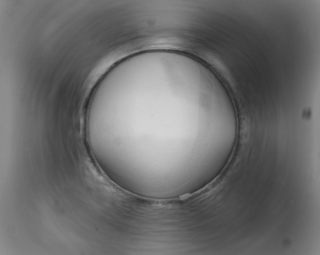 X0000113131419200909251228