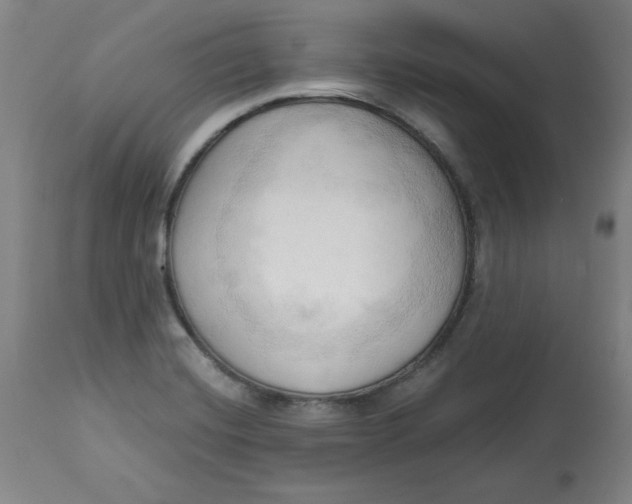 X0000113131420200909251228