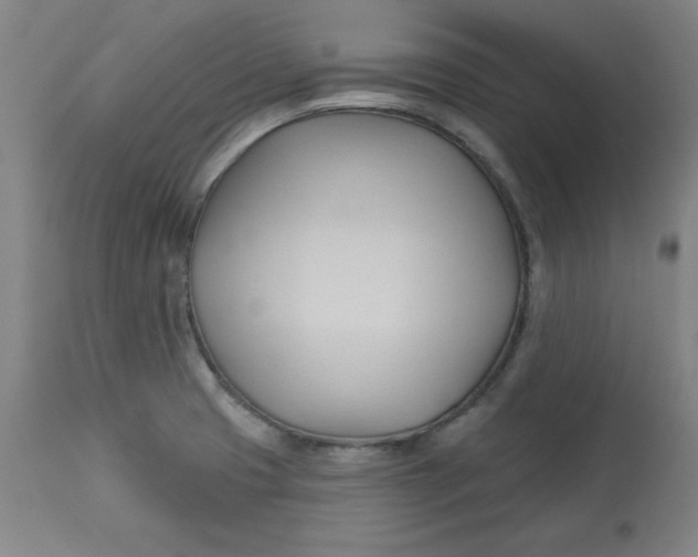 X0000113131425200909251228