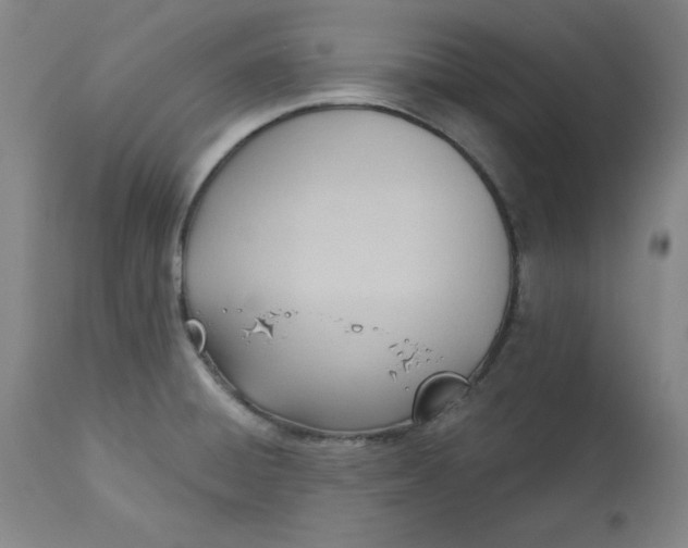 X0000113131428200909251228