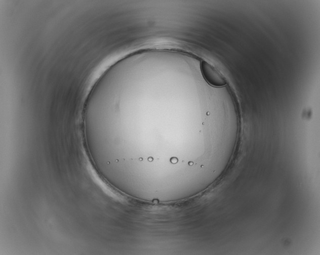 X0000113131429200909251228