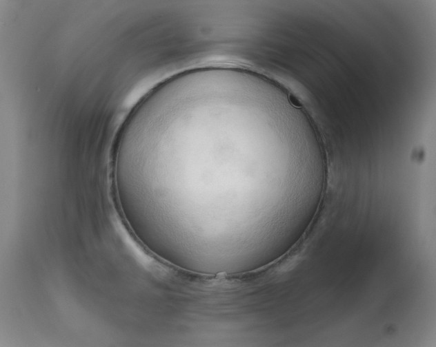 X0000113131430200909251228