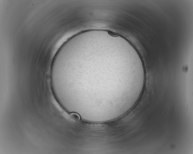 X0000113131432200909251228