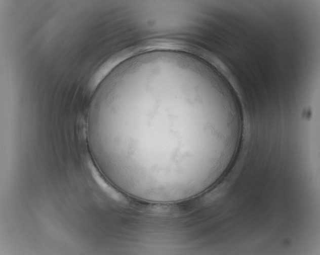 X0000113131433200909251228