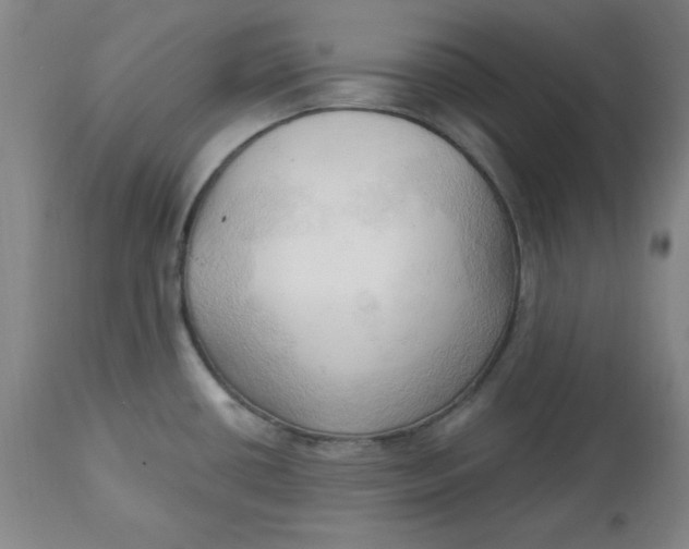 X0000113131434200909251228