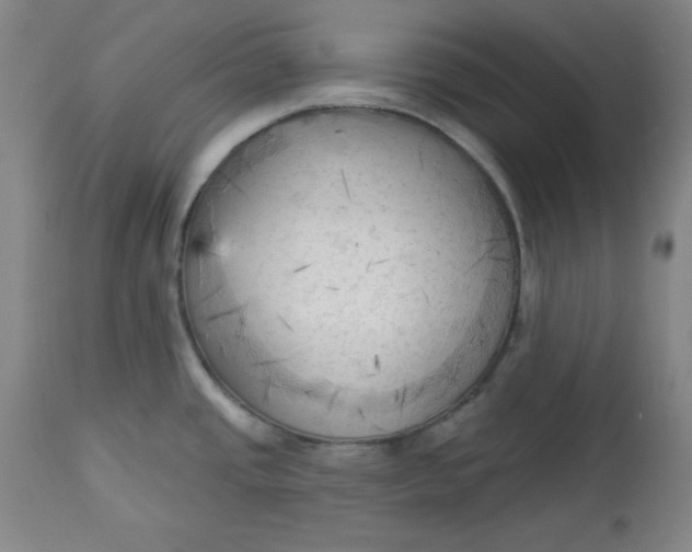 X0000113131437200909251228