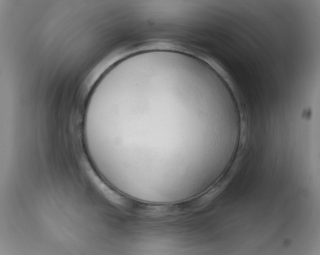 X0000113131438200909251228