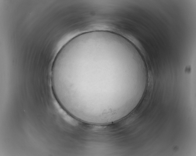 X0000113131439200909251228