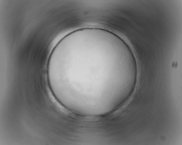 X0000113131440200909251228