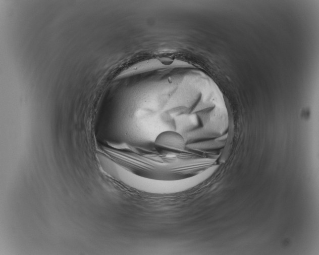 X0000113131441200909251228