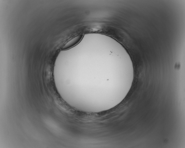 X0000113131442200909251228