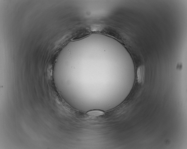 X0000113131443200909251228