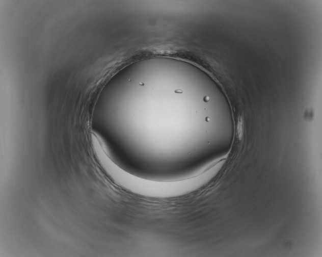 X0000113131444200909251228