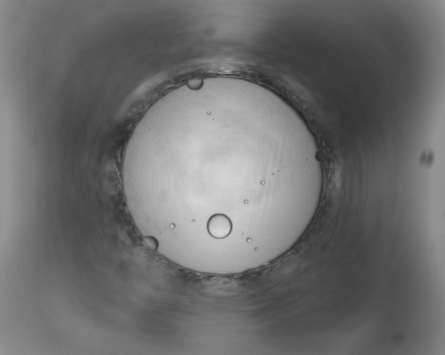 X0000113131446200909251228