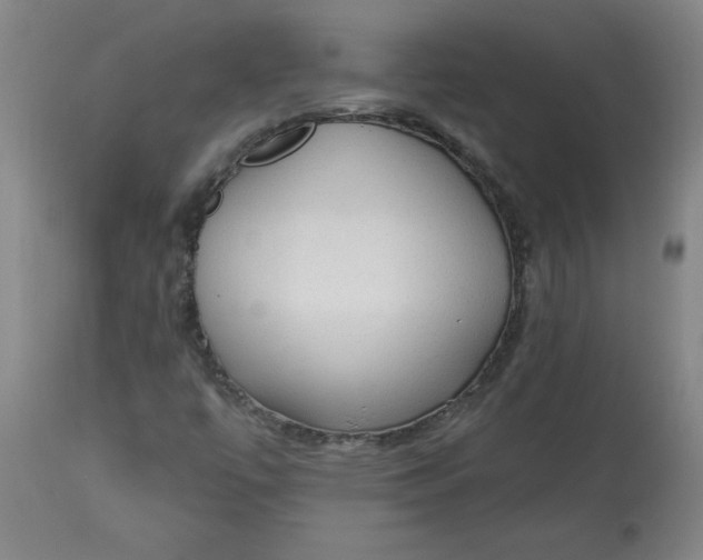 X0000113131447200909251227