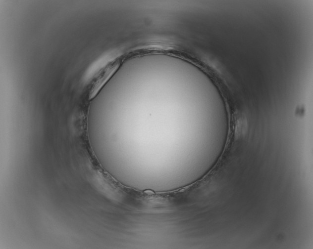 X0000113131448200909251227