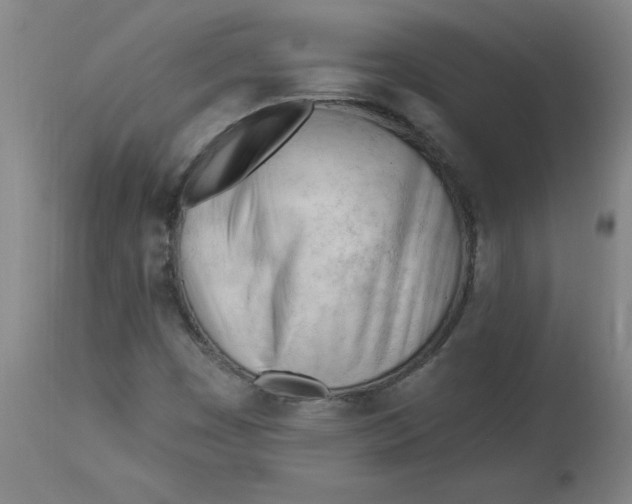 X0000113131449200909251227