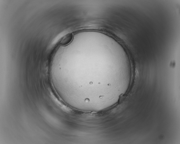 X0000113131450200909251227