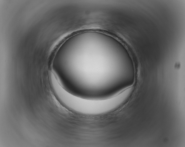 X0000113131452200909251227