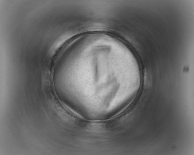 X0000113131453200909251227