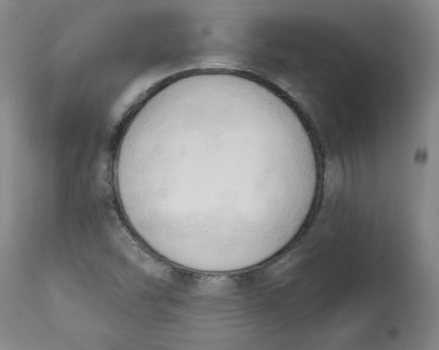 X0000113131454200909251227