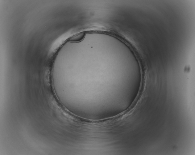 X0000113131455200909251227