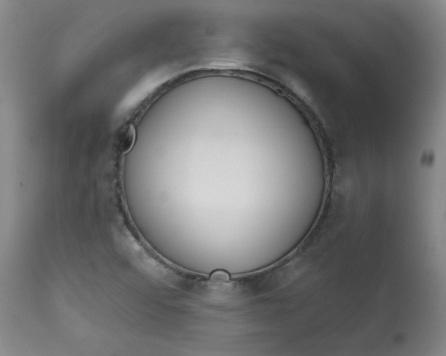 X0000113131456200909251227