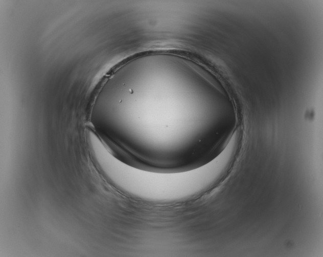 X0000113131457200909251227