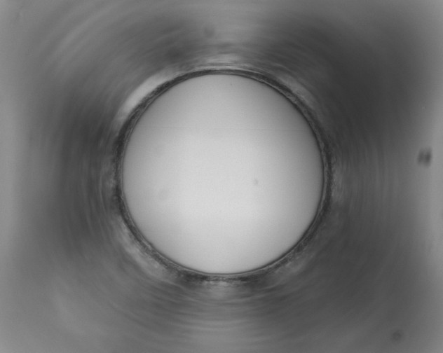 X0000113131458200909251227