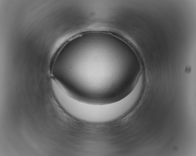 X0000113131461200909251227