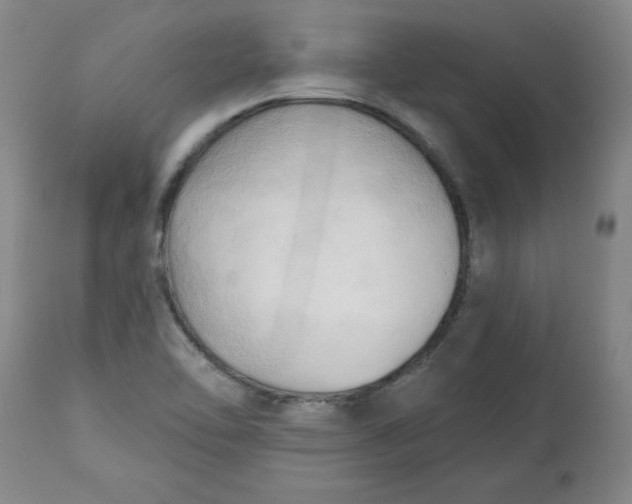 X0000113131462200909251227