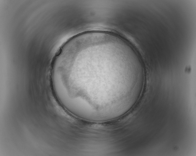 X0000113131463200909251227