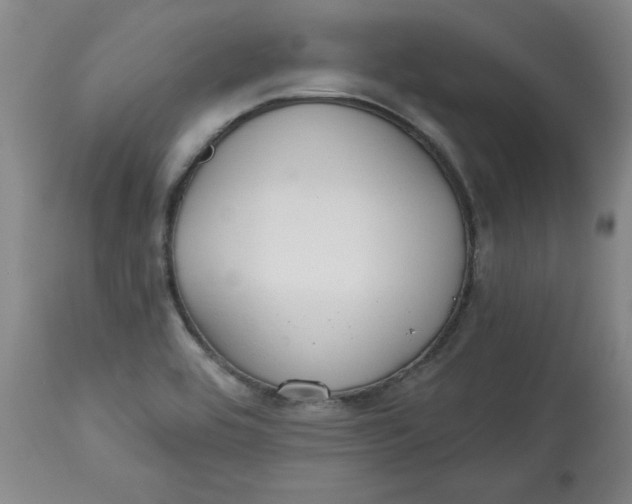 X0000113131464200909251227