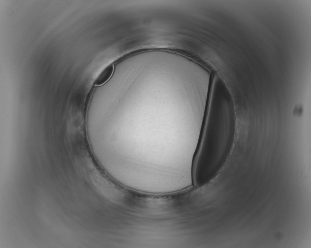 X0000113131465200909251227