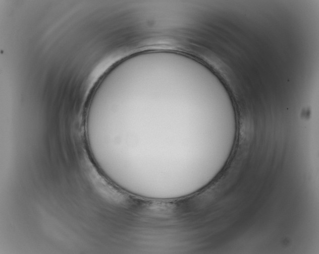 X0000113131466200909251227